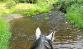 Trail Horseback riding Habay - Forêt de Rulles - Photo 5