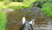 Tour Reiten Habich - Forêt de Rulles - Photo 5