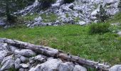 Excursión Senderismo Corrençon-en-Vercors - Tête des Chaudières depuis clôt de la Balme par la Combe de Fer - Photo 3