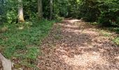 Trail Walking Vendôme - Randonnée dans le Bois de l'Oratoire à Vendôme  - Photo 4