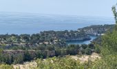 Tour Wandern Cassis - Plan olive - Photo 7