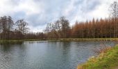 Tour Wandern Hamois - La Promenade du Berceau du Bocq - Photo 20