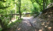 Trail Walking Assesse - Sart Bernard 010725 - Photo 12