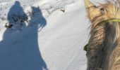 Trail Horseback riding Saint-Martin - neige kaline vispa  - Photo 7