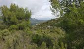 Randonnée Marche Allauch - Parc de Pichauris - Garlaban - Photo 7