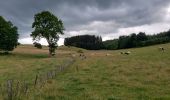 Tour Wandern Hohenfels - Houffalize 270622 - Photo 6