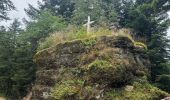 Trail Walking Domfaing - Les hauts de Domfaing - Photo 6