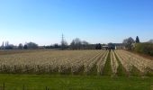 Tocht Te voet Duiven - Struinroute Pannerdensch kanaal - Photo 10