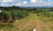 Percorso Marcia Le Robert - Pointe Banane - Photo 6