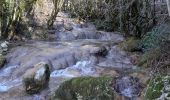 Percorso Marcia Pont-en-Royans - Grotte Balme Rousse - Photo 4