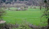 Tocht Te voet Rottenburg am Neckar - Bieringen-Weitenburg - Photo 5