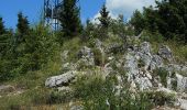 Randonnée A pied Gemeinde Miesenbach - Miesenbach (Panoramaweg) - Photo 2