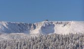 Tour Zu Fuß Unknown - Piechowice - Pod Wielkim Szyszakiem - Photo 10