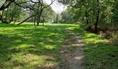 Excursión Senderismo Chamarande - Forêt Départementale du Belvédère à Chamarande - Photo 13