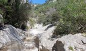 Trail Walking Évenos - Les Gorges du Destrel depuis le  Broussan - Photo 5