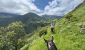 Trail Horseback riding Accous - Accous-Lescun-Lhers - Photo 11