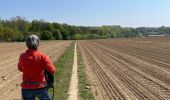 Tour Zu Fuß Bertem - Bertem variante - Photo 14