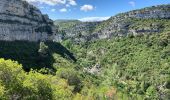 Excursión Senderismo Minerve - Gorges de Minerve  - Photo 8