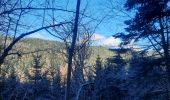 Trail Walking Rochesson - cascade de Battion  - Photo 7