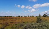 Tour Wandern Spa - La forêt et les fagnes - Photo 9