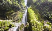 Excursión Senderismo Saint-Claude - Guadeloupe - Chute du Galion - La Citerne - Photo 12