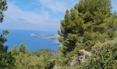 Tour Wandern La Seyne-sur-Mer - Janas Sicié - Photo 12