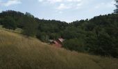 Excursión Senderismo Sentheim - Sentheim - Col du Schirm - Buissonniers - Kohlberg - Photo 12