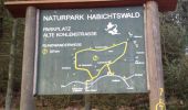 Trail On foot Unknown - Ehlener Kreuz - Parkplatz Hirzstein - Photo 3