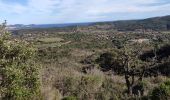 Trail On foot Roquebrune-sur-Argens - z les bois de Roquebrune 11-02-20 - Photo 3