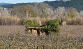 Tour Wandern Les Arcs-sur-Argens - Les Arcs - Forêt Apiès depuis Pont d'Aille - Photo 9