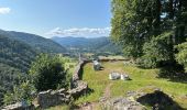 Tour Wandern Krüt - Schlossberg Wildenstein 2,9 km - Photo 4