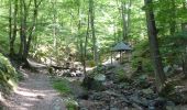 Trail Walking Spa - WandArdNat 11: Spa La Sauvenière Fagne de Malchamps (PVDB) - Photo 7