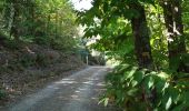 Trail Walking Reynès - taillet ( vallespir ) - Photo 6