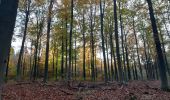 Randonnée Marche Esneux - tilff . bois des manants . ourthe  - Photo 8