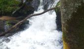 Randonnée Marche Ferrières-sur-Sichon - Grotte des fées y cascade  - Photo 1
