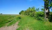 Trail Walking Artannes-sur-Indre - Artannes-sur-Indre - les Mattés - 19.5km 260m 4h10 - 2020 05 18 - Photo 3