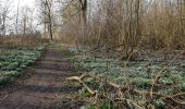 Tocht Elektrische fiets Ronse - Sentier de l'amour à Anvaing à partir de Renaix - Photo 2