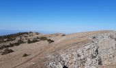 Tour Wandern Teyssières - la lance  insolite - Photo 2