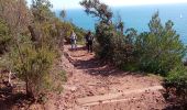 Excursión Senderismo Le Pradet - cap Carqueiranne-bau rouge-La mine - Photo 3