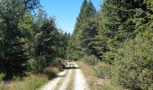 Tour Wandern Sankt Vith - Rodt petite escapade en Ostbelgien - Photo 14