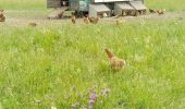 Trail Walking Venouse - G Beauvais 260522 - Photo 6