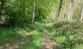 Tocht Stappen Villeselve - Villeselve - Photo 1