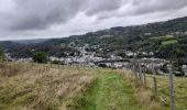 Tour Wandern La Bourboule - La Bourboule - Roche de Vendée- Rocher de l Aigle - Photo 3