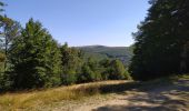 Trail Walking Val-d'Aigoual - Serreyrede-caumette-Pra peyrot - Photo 5