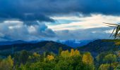 Tocht Te voet Ponferrada - Senda de los Canteros - Photo 4