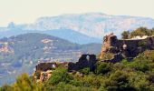 Randonnée Marche Ollioules - Chateau Vallon - Oppidum - Meulerie - Grotte patrimoine - vallon du Destel - Grotte des Joncs 9 - Four à cade - Appier - Four à chaux - Photo 19
