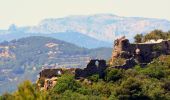 Tocht Stappen Ollioules - SityTrail - 1041295 - le-destel-grotte-des-joncs - Photo 19