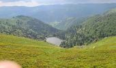 Randonnée Marche Stosswihr - Honeck depuis Gaschney - Photo 5