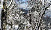 Trail Walking Le Valtin - Col de la Schlucht - Photo 5