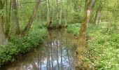 Tour Zu Fuß Sulzbach-Rosenberg - Siebeneichener Rundwanderweg - Photo 4